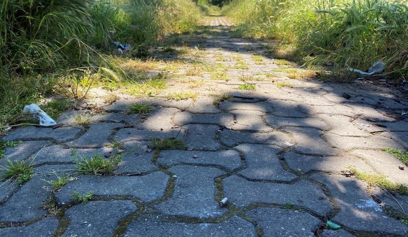 Parkta dehşete düşüren görüntü; Çocuklar rastgele ateş etti