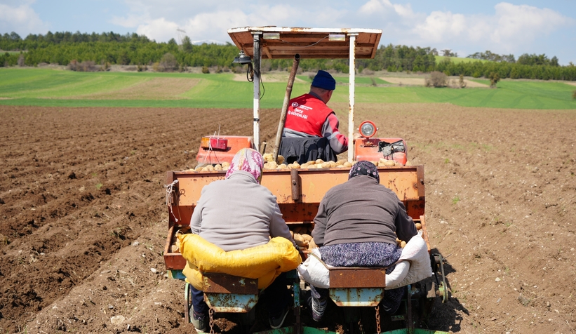 Patates diyarında çiftçiler ekim mesaisinde