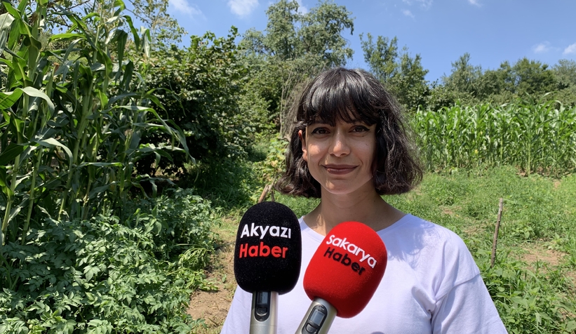  Patates domatese benzer meyve vermişti, uzmanı uyardı zehirli