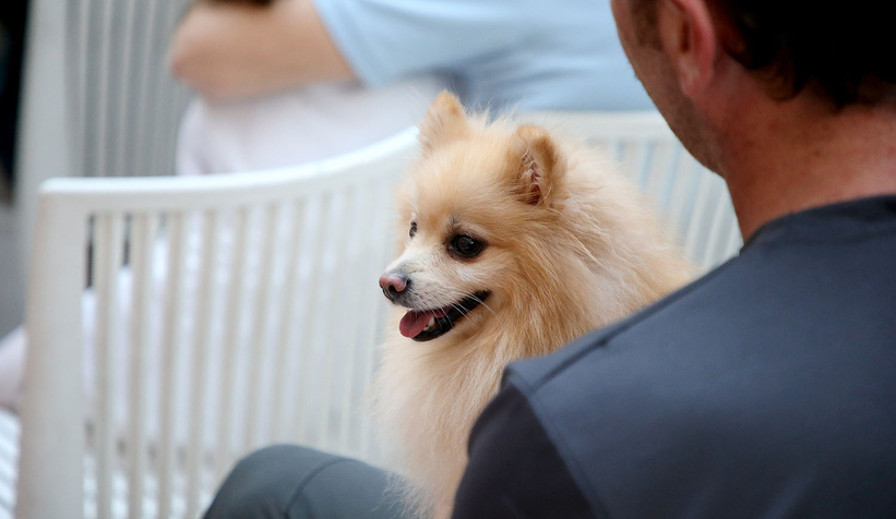 Pati Festivali renkli görüntülere sahne oldu