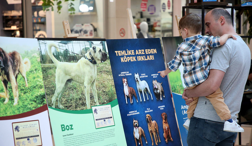 Pati Festivali renkli görüntülere sahne oldu