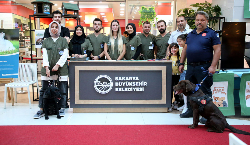 Pati Festivali renkli görüntülere sahne oldu