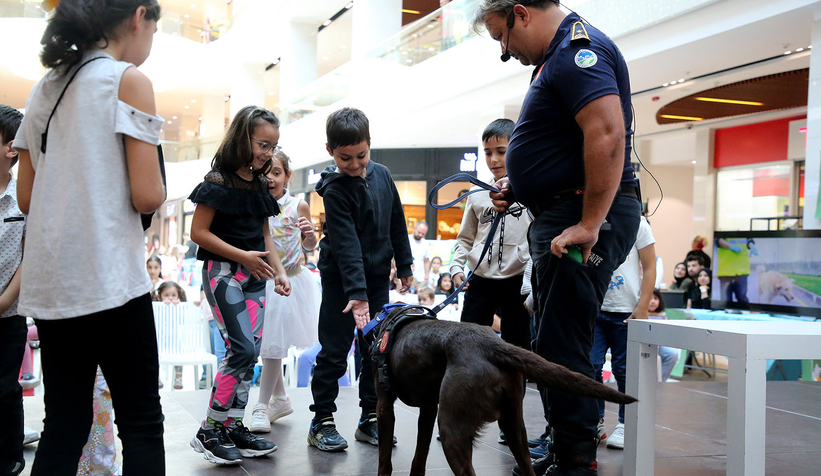 Pati Festivali renkli görüntülere sahne oldu