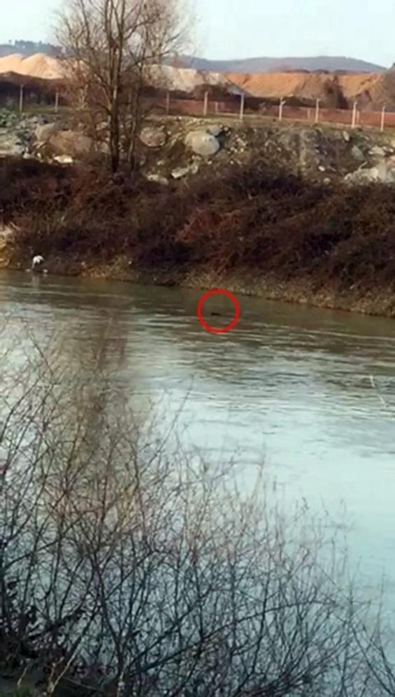 Pazarcı Salih'i arama çalışmaları devam ediyor