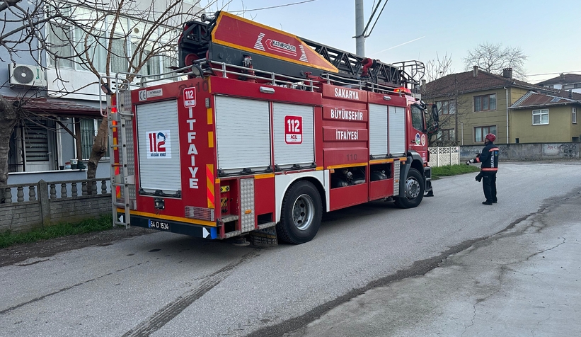 Pencereye sıkışan kediler öldü