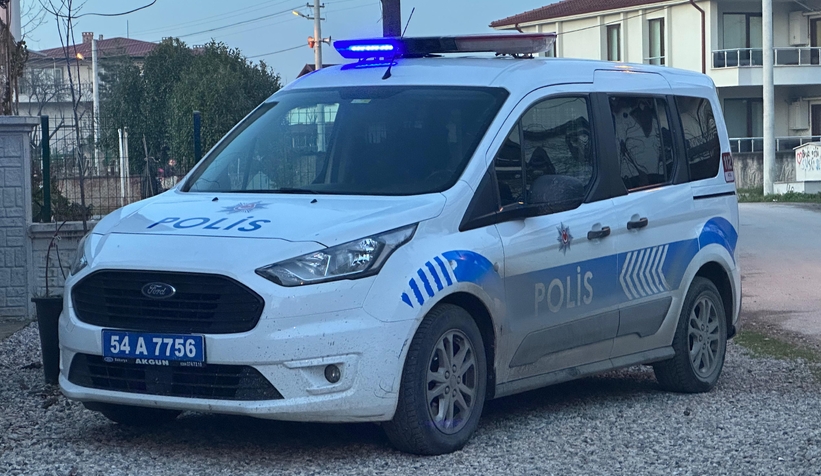 Pencereye sıkışan kediler öldü