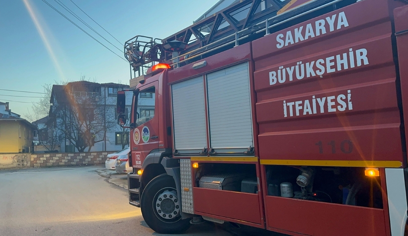 Pencereye sıkışan kediler öldü