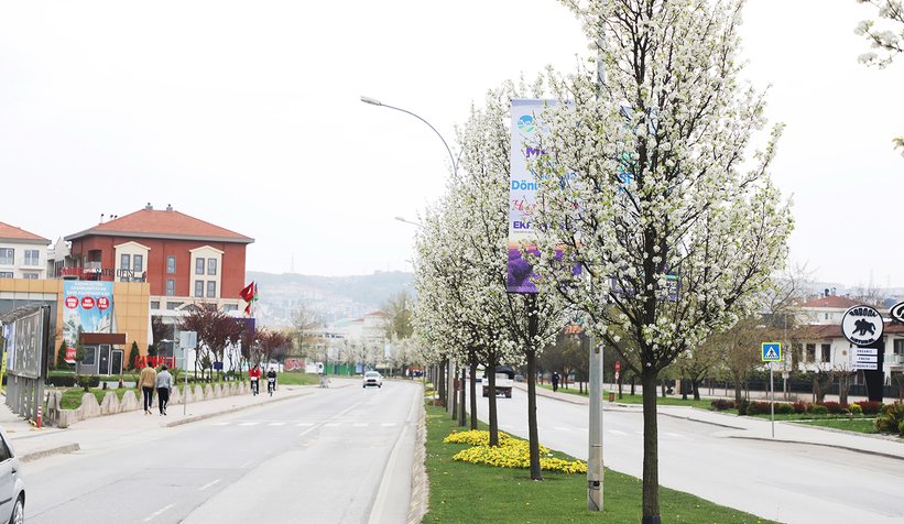 Peyzaj uygulamaları şehre estetik katacak
