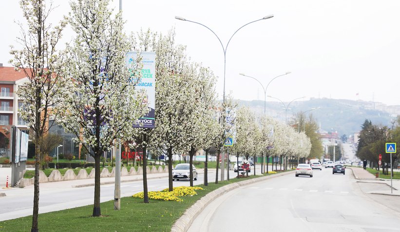 Peyzaj uygulamaları şehre estetik katacak