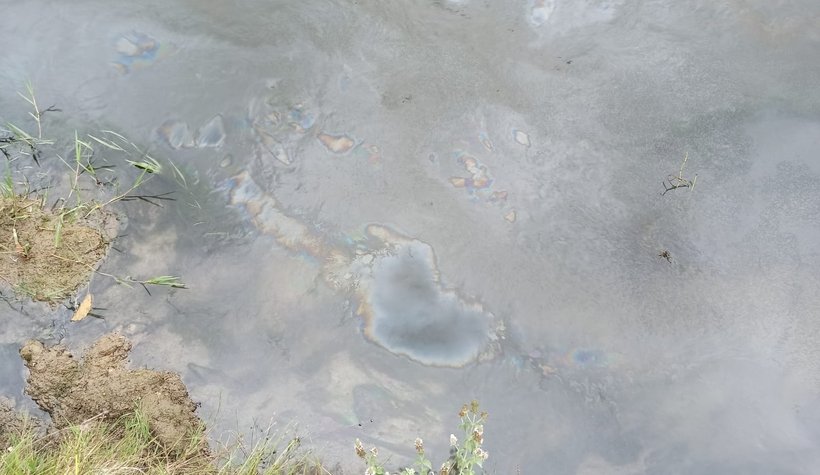 Pikniğe giden Akyazılı aile büyük şok yaşadı