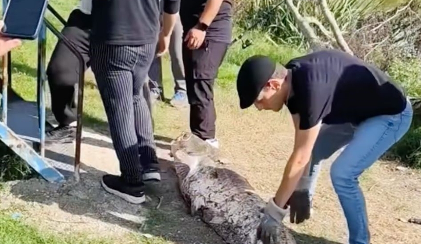 piknikte-50-kiloluk-yayin-yakaladiqkjpcle0me