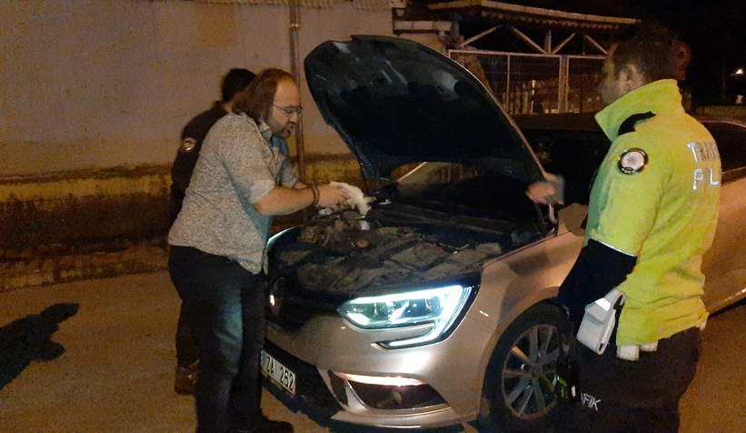 polis-ve-bekci-yavru-kediler-icin-seferber-oldusexml1jprm