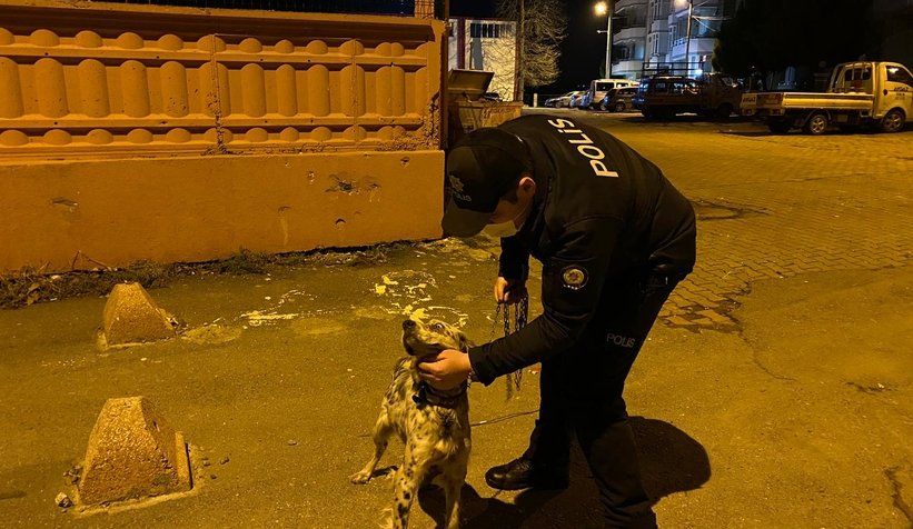 Polisler başı boş gezerken buldu