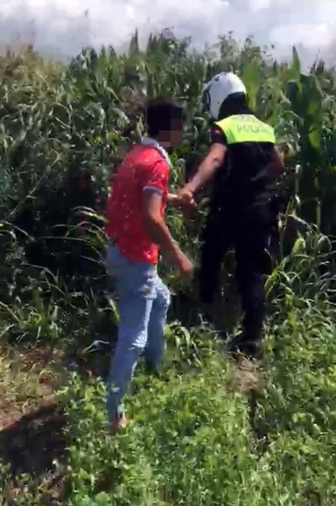 Polisten kaçış mısır bahçesinde son buldu
