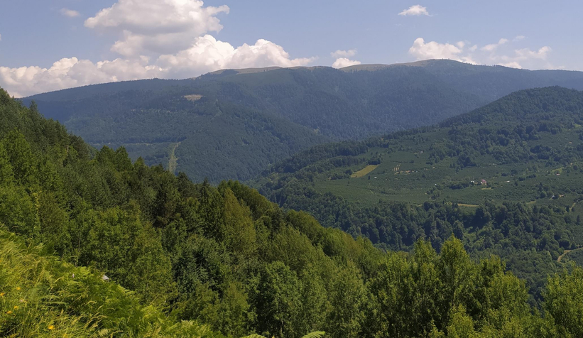 RES Projesi vatandaşlara sorulacak