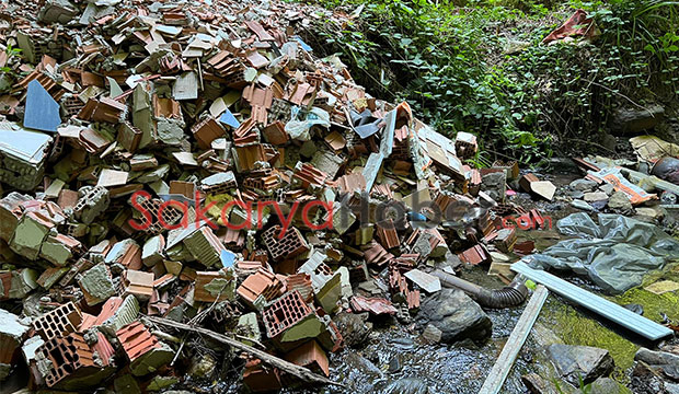 Reşadiye'de çevre katliamı