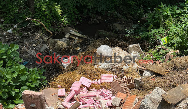 Reşadiye'de çevre katliamı