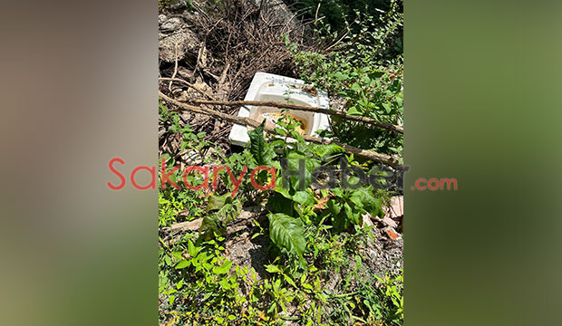 Reşadiye'de çevre katliamı