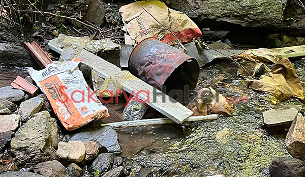 Reşadiye'de çevre katliamı