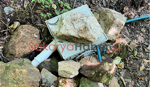 Reşadiye'de çevre katliamı