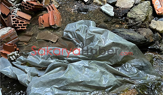 Reşadiye'de çevre katliamı