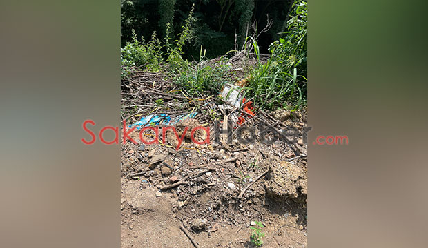 Reşadiye'de çevre katliamı