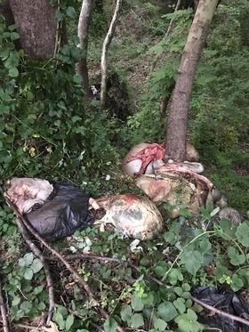 Rezillik mahalleyi çöplüğe çevirdiler