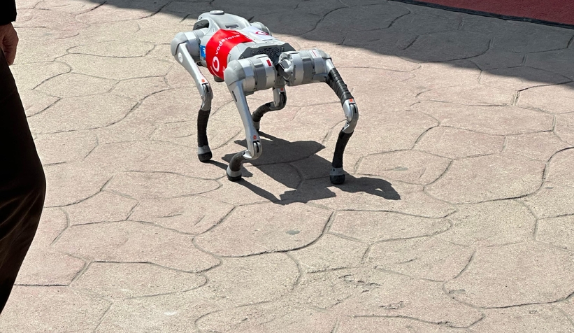 robot-kopek-akyazililarla-bulustuq1k1ykkybu