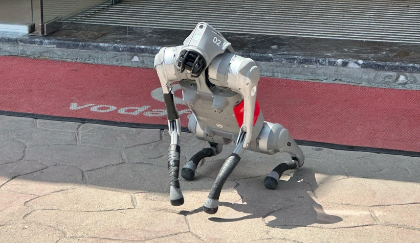 robot-kopek-akyazililarla-bulustuq1k1ykkybu