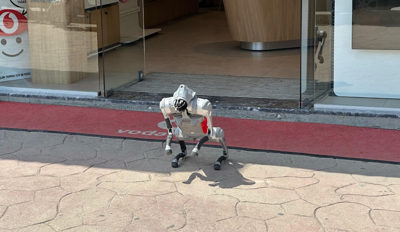 robot-kopek-akyazililarla-bulustuq1k1ykkybu