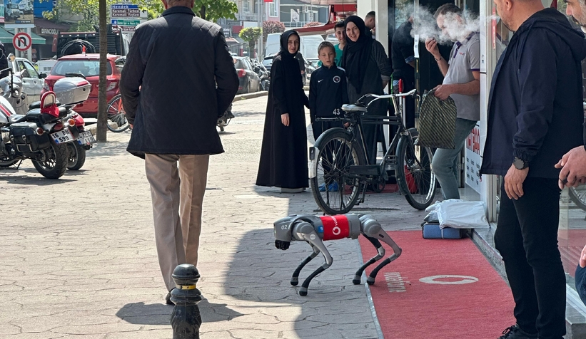 robot-kopek-akyazililarla-bulustuq1k1ykkybu