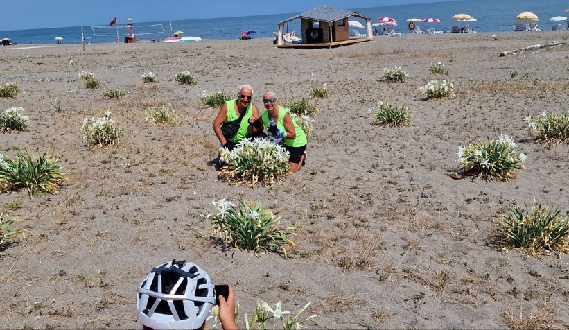 Sahildeki bu bitkiyi koparmanın cezası 80 bin lira