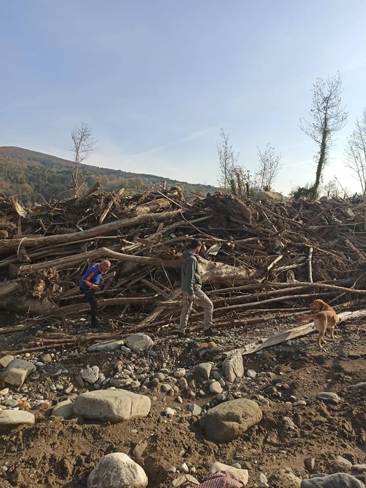 Sakarya AFAD selde kaybolan kişiyi arıyor
