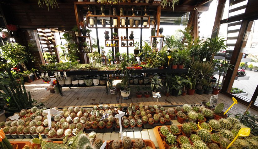 Sakarya BAHÇEM’i çok sevdi