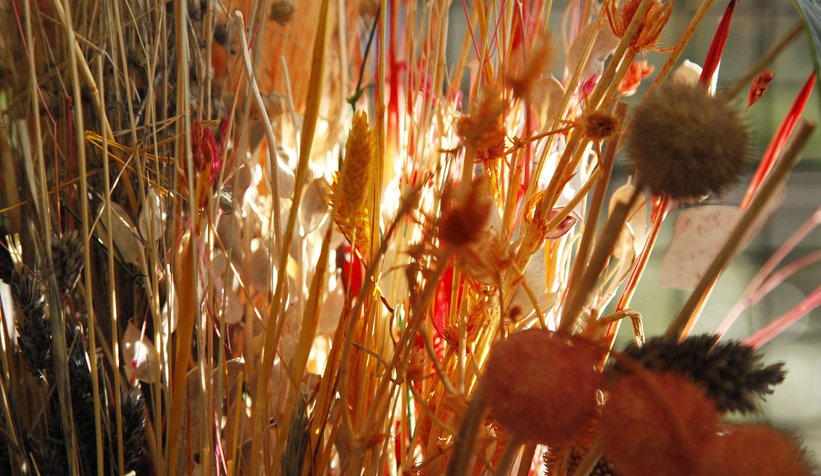 Sakarya BAHÇEM’i çok sevdi