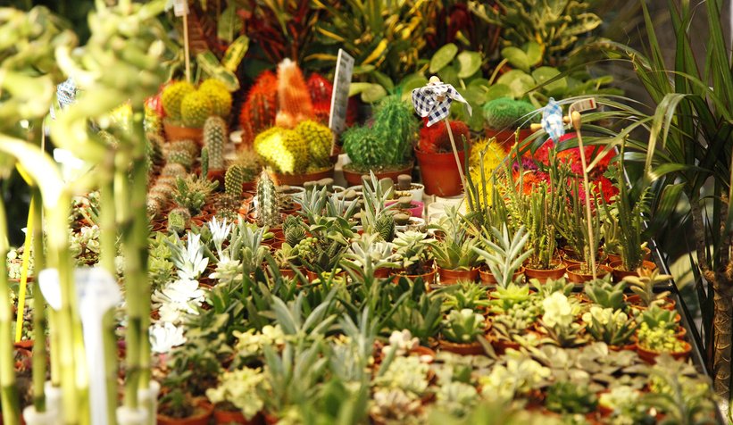 Sakarya BAHÇEM’i çok sevdi