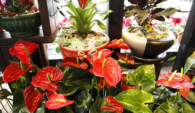 Sakarya BAHÇEM’i çok sevdi