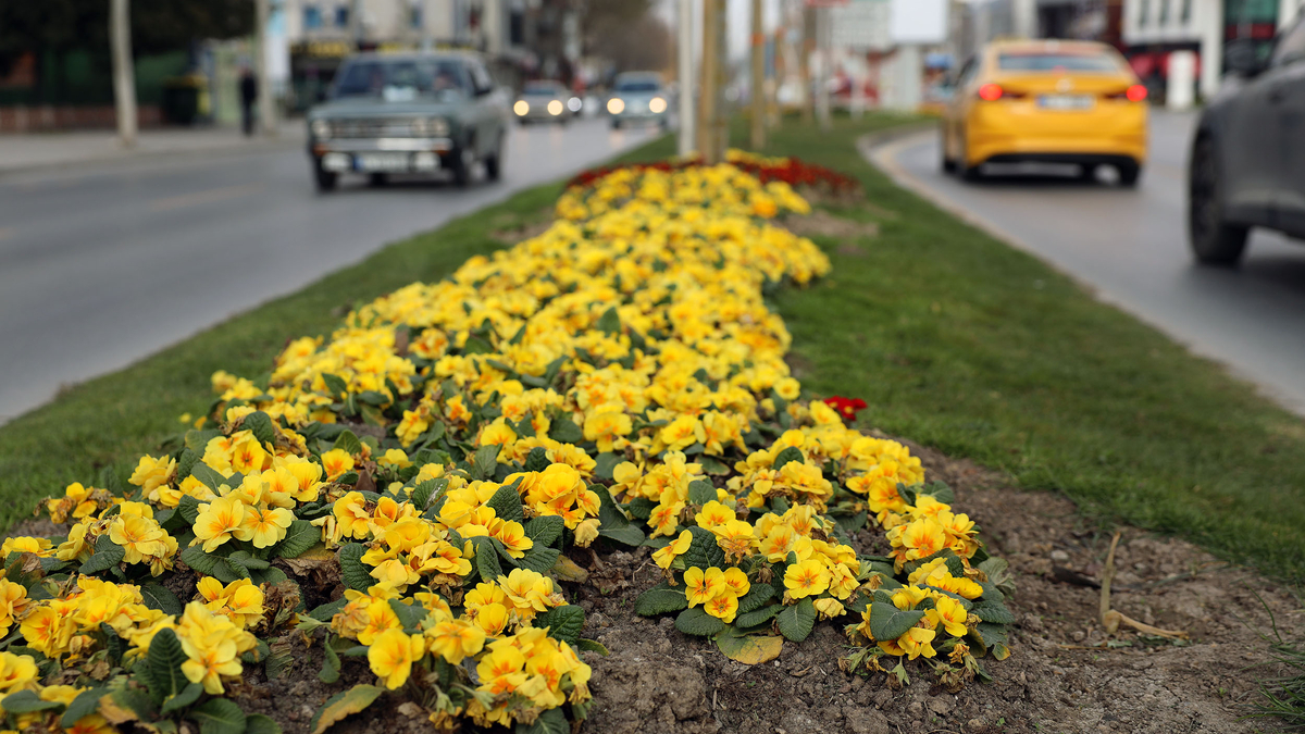 Sakarya bayrama hazırlandı