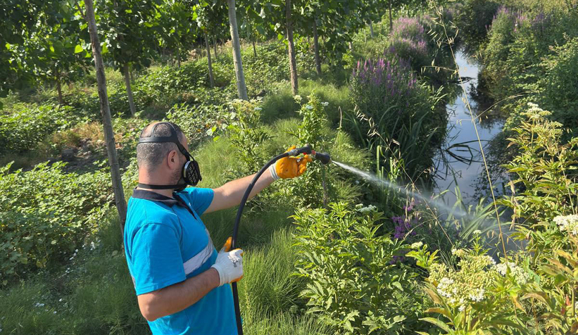 Sakarya Büyükşehir vektörler ile mücadeleyi sürdürüyor