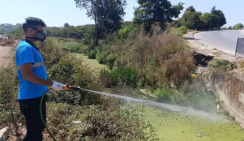 Sakarya Büyükşehir vektörler ile mücadeleyi sürdürüyor