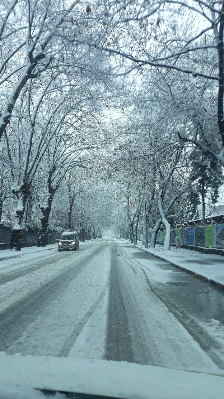 Sakarya buz kesti, o ilçe eksi 19.4'ü gördü