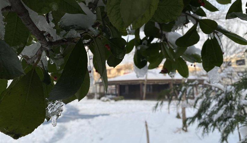 Sakarya buz kesti, o ilçe eksi 19.4'ü gördü