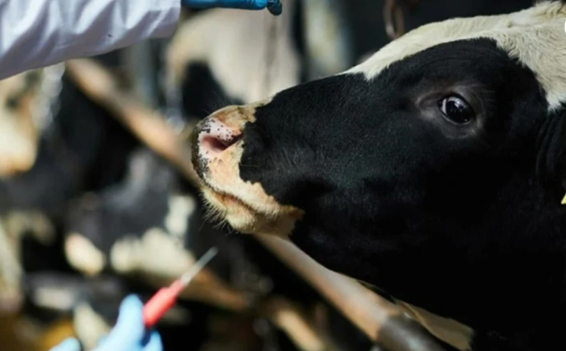 sakarya-da-15-mahallede-sap-karantinasid2fzelj0sj