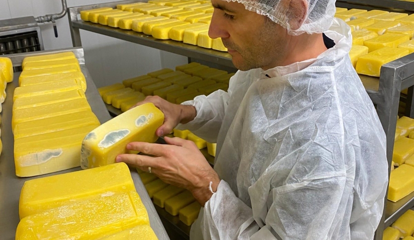 Sakarya'da 1,5 ton küflenmiş tost peyniri ele geçirildi