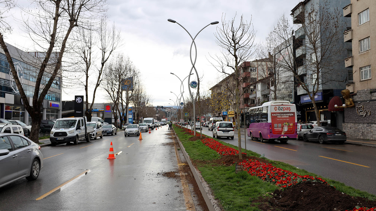 Sakarya'da 3 ayda 2 bin 500 ağaç toprakla buluştu