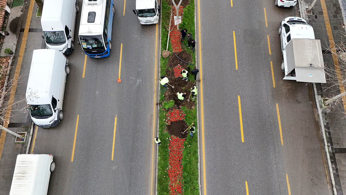 Sakarya'da 3 ayda 2 bin 500 ağaç toprakla buluştu