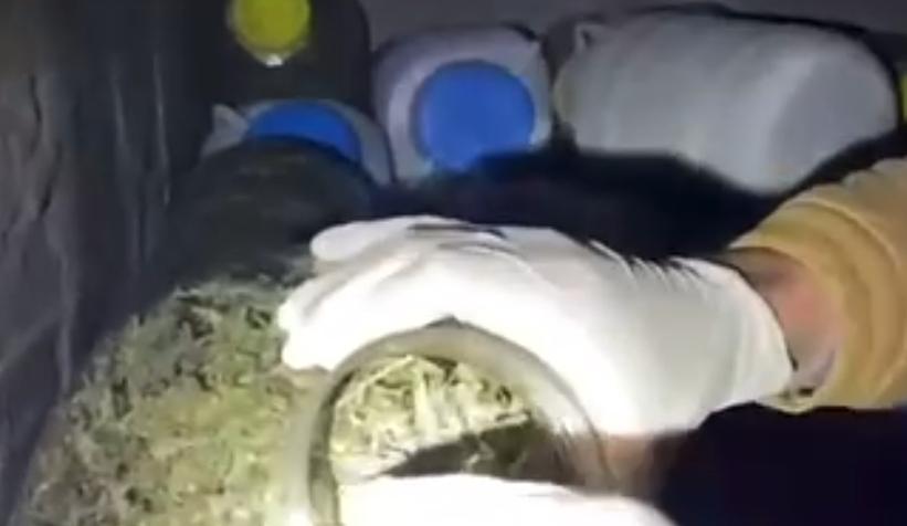 Sakarya'da 82 kilo esrar ele geçirildi