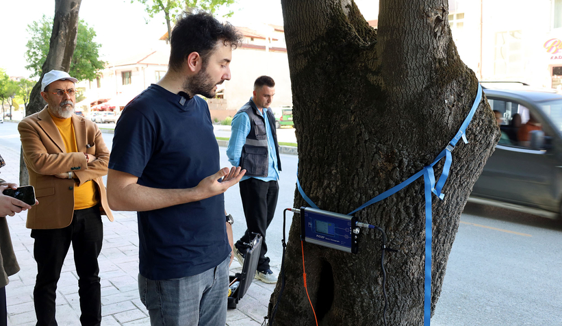 sakarya-da-agaclarin-tomografisi-cekiliyormxntafhnzg