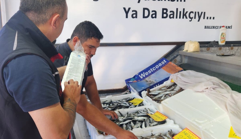sakarya-da-balik-boyu-denetimia3q0s1nysg
