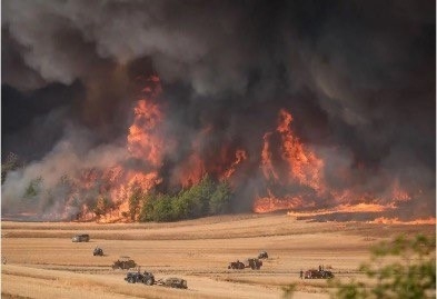 Sakarya'da başlayıp Bilecik'e sıçrayan orman yangını üçüncü gününde